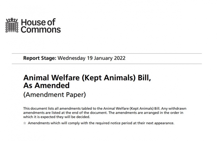 Henry Smith MP tables amendment to key Animal Welfare Bill to protect hens before slaughter