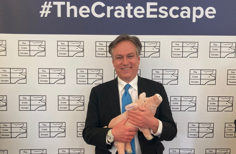 Henry Smith MP backs ending the use of farrowing crates