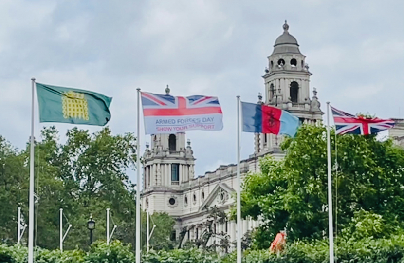 Marking Armed Forces Day 2023 in Crawley and in Parliament