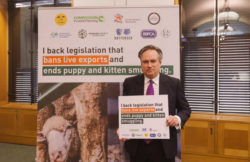 Henry Smith MP supports call for Government to deliver on pledges to Ban Live Exports and stop illegal puppy and kitten smuggling