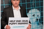 Henry Smith MP backs new campaign targeting the cruel UK puppy trade