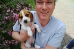 Crawley MP hails Government plans to ban third party puppy and kitten sales