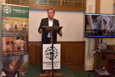 Henry Smith MP raises awareness of dog meat trade