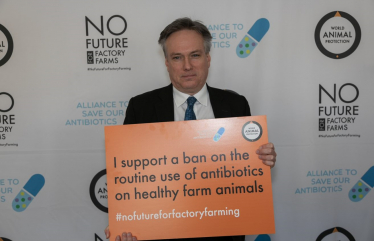 Henry Smith MP joins call for government ban on routine preventative use of antibiotics on UK farms