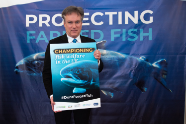 Henry Smith MP backs legal protection for farmed fish at the time of slaughter